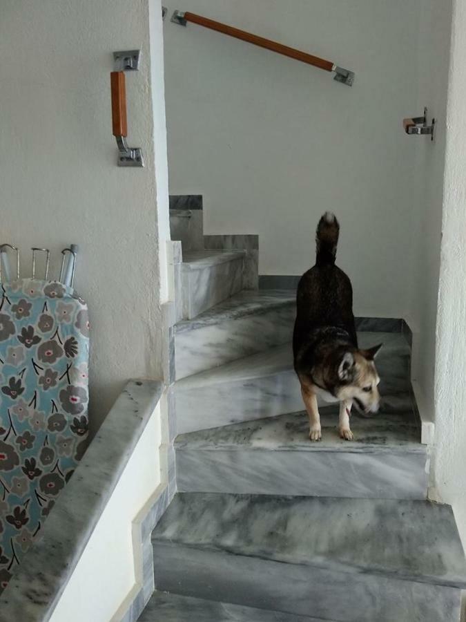 Seaside Beach House Siviri Zewnętrze zdjęcie